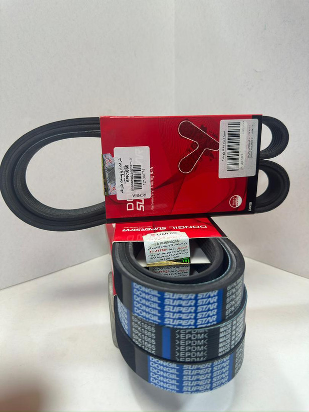 واردکننده دانگل در ایران